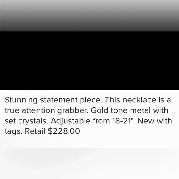 Lia Sophia TUDOR Statement Necklace - Picture 7 of 8